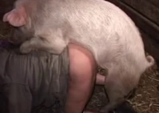 This insane piggy really wants to fuck this zoophile