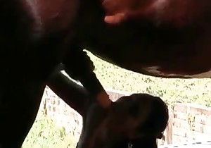 Sexy bitch is standing on the knees and sucking a horse