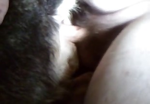 Sticking my massive penis in a tight animal anal