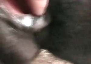 Just stretching a horse anus in close-up