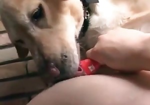 Asian slut is kissing her lovely doggy