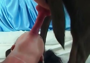 Chick in red stockings is sucking her doggy dick
