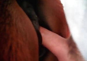 sex with animal video clip free porn