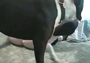 Big black dog fucked a slutty chick from behind