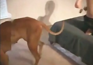 Man fucked his own dog in hardcore way