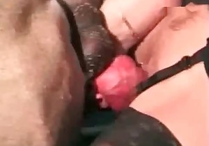 Dog red cock in a tight cunt of a zoophile