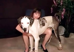 Sexy wife is having fun with a horny dalmatian