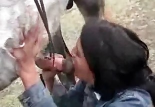 Farm bitch gives her horse a good head
