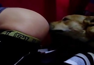 Fat booty dude gets teased by a dog