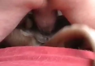 Close-up fucking with a horny dog
