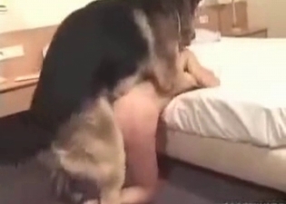 Chic brunette gets fucked by a dog from behind