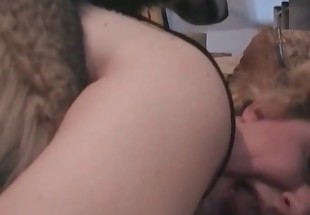 Dog enjoying hardcore fucking on cam