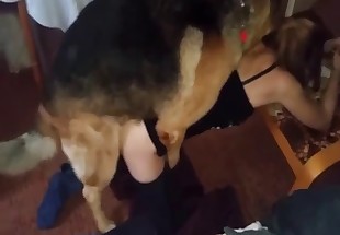 Hairy white dog fucked her little cunt