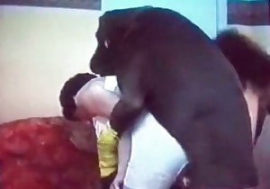 Bitchy zoo slut fucked by a huge black animal