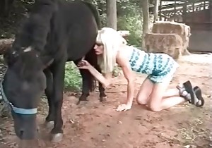 animales teniendo sexso porn videos