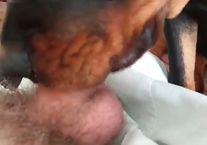 Horny dirty doggy is swallowing my boner 