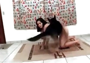 Animals videos sex in Kalyan