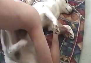 Sexy chick riding a dog cock