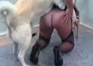 Twisted babe fucking a horny dog