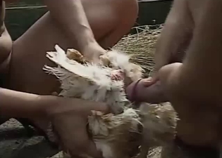 Small cock nicely penetrated by a passionate male