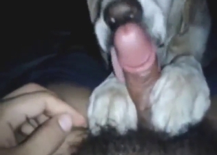 Dude gets to enjoy his dog licking his boner