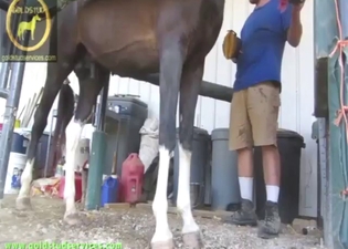 Anal and ejaculations with a sexy horse slut