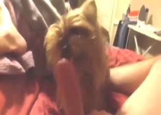 Good-looking beast taking care of that boner