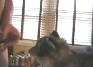 Wolf plushie is going to attract that much cum