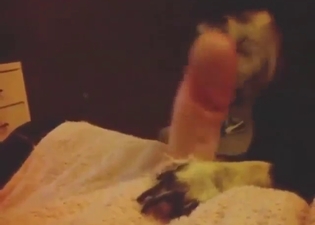 Dog is getting all obedient to lick that dick