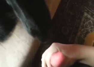 Black dog puts its sucking skills to a great use