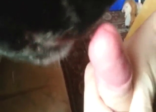 Black dog puts its sucking skills to a great use