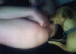 Dog is happy to clean that ass and pussy up close