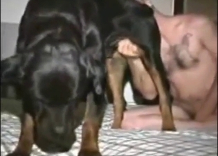 Dude is going to use tongue for dog ass rimming