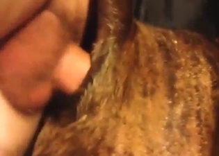 Pitbull getting fucked by a well-hung zoophile