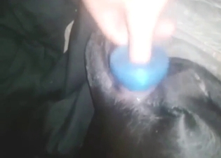 Anal play with a black dog that looks so horny