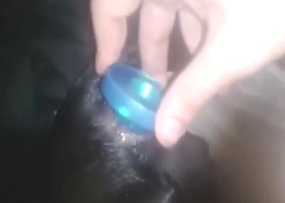 Anal play with a black dog that looks so horny