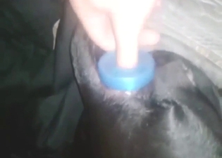 Anal play with a black dog that looks so horny