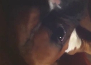 Boxer with a slutty mouth wants this guy's load