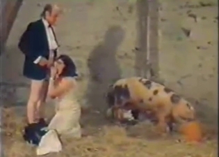 Vintage zoophile puts his dick in a pig's hole