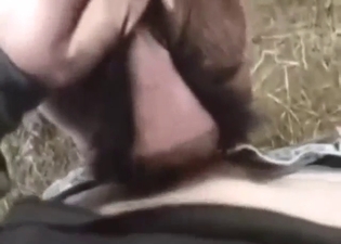 Gay bestiality sex with a goat that moans and cums