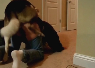 Slutty wife in denim pants opens herself for dog