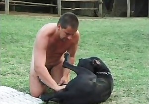 Male anally fucked by a lustful doggy