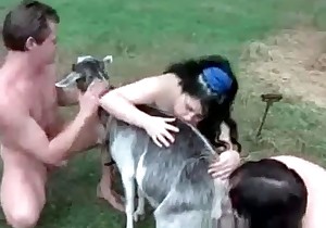 Family couple is having fun with a goat