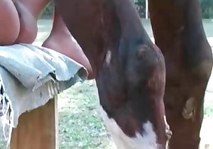 Sexy slit is squeezing sperm out of a stallion 