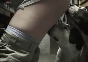 Dirty doggy is smelling and licking a shitty ass