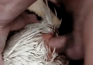 Just trying to fuck this innocent cock
