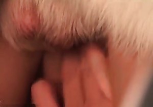 Hairy white doggy drilled a tight cunt