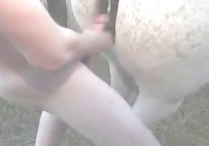 Husband fucked a white horse from behind