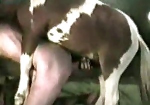 Sexy slender female fucked by a horse