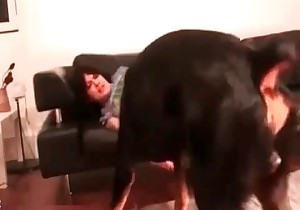 Big black dog is giving a good cunnilingus